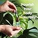 Best Naturals Liquid Chlorophyll Drops 50 mg, 2 Fl Oz, Natural Detox Supplement, Supports Energy, Digestion & Skin Health, Vegan, Non-GMO, Easy Absorption Liquid Chlorophyll Supplement