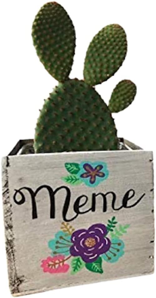 Flower Garden Wood Planter, Personalized Gift for Mom, Grandma, Nana (5 Square inches, Whitewashed Wood)