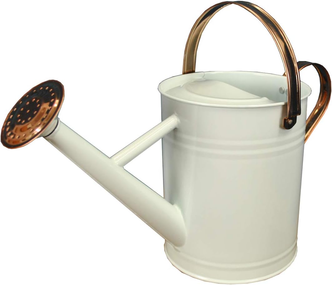 Selections Ivory & Copper Colour Metal Watering Can (3.5 Litre)