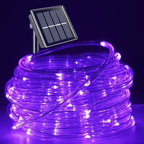 Best solar led rope lights Our Top Picks