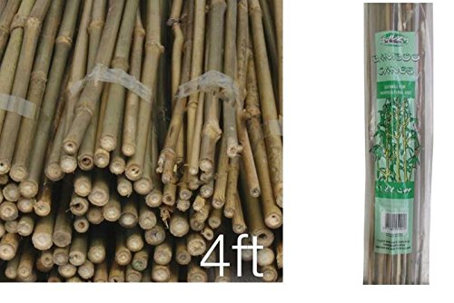 WILSONS DIRECT - 40 x Pre-packed Strong Bamboo Canes Natural Bamboo Wooden Cane Garden Fencing Flower Plant Support 4 Feet- 120cm