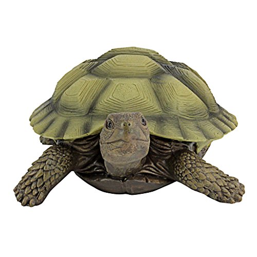 image for Design Toscano QM1887611 Gilbert the Box Turtle Garden Decor Animal St