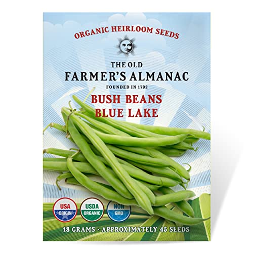 The Old Farmers Almanac Heirloom Organic Bush Bean Seeds (Blue Lake) - Approx 45 Seeds - Certified Organic Non-GMO Open Pollinated Heirloom USA Origin