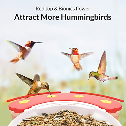 Netvue Birdfy Hummee - Smart Hummingbird Feeder With Camera, Auto Capture Bird Videos & Birdwatching Up-Close, 2 In 1 Feeders Attract More Hummingbirds, Ideal Gift For Father's Day (Lite) #TOP2