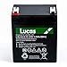 Batterie Plomb étanche Stationnaire Lucas VRLA AGM LSLA4.5-12 12V 4.5Ah.
