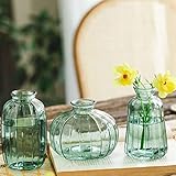 Photo Gallery prtecy set di 3 vasi in vetro con boccioli, piccoli vasi decorativi moderni per fiori vaso per fiori in vetro minimalista per composizioni floreali home office decorazioni per matrimoni(verde) Photo Gallery prtecy set di 3 vasi in vetro con boccioli, piccoli vasi decorativi moderni per fiori vaso per fiori in vetro minimalista per composizioni floreali home office decorazioni per matrimoni(verde)