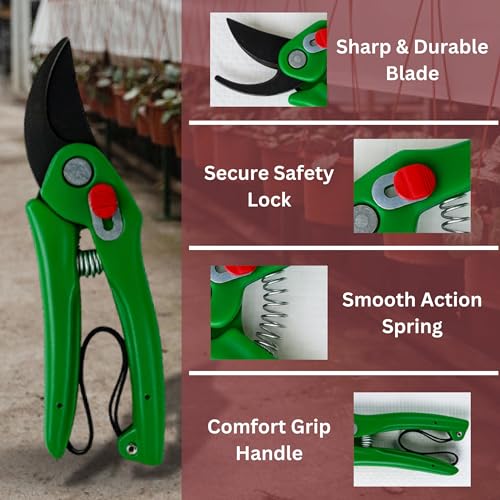 Image of Mozarto Heavy Duty Gardening Scissor /Plant Cutter For Garden /Branch Cutter For Plants /Flower Cutter /Pruners For Plants /Wood Branch Trimmer /Secateurs /Pruning Shears Blade (Green)