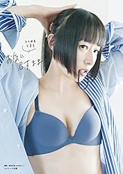 田中理恵写真集 お気に召すまま