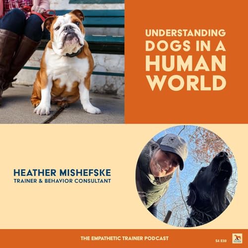 Understanding Dogs in a Human World - Heather Mishefske S4 E 29
