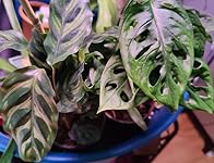 Review Image by MontessoriMiss MontessoriMiss