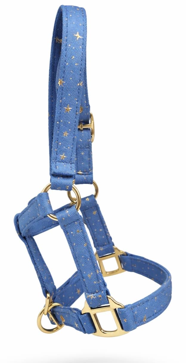 Halfter Starry Sky Hellblau Schwarz Sterne Gold Farben Minishetty Shetty Sternenhalfter Tysons Falabella Minipony (Shetty, Hellblau)