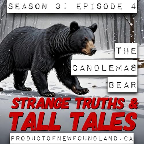 The Candlemas Bear Podcast Por  arte de portada