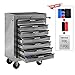 KXYLUMI Artman 20-Inch Rolling 7-Drawer Tool Chest Cabinet, Ball Bearing Slides, Lockable Steel Storage with 4 Wheels & Brakes - Silver