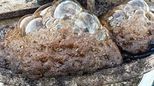 16 1/2" Compost Tea or Worm Castings Aerator;Best in Air & Quality (1)