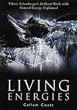 Living Energies: An Exposition of Concepts Related to the Theories of Viktor Schauberger