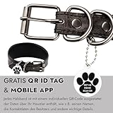 FAVPET Luxus Echtleder Windhund Halsband Breit mit QR Code Anhänger, Weiches Lederhalsband Hund Breit Whippet Italienisches Windspiel Saluki Lurcher Spanischer Galgo Greyhound Podenco (Grau, XS)