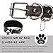 FAVPET Luxus Echtleder Windhund Halsband Breit mit QR Code Anhänger, Weiches Lederhalsband Hund Breit Whippet Italienisches Windspiel Saluki Lurcher Spanischer Galgo Greyhound Podenco (Grau, XS)