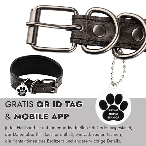 FAVPET Luxus Echtleder Windhund Halsband Breit mit QR Code Anhänger, Weiches Lederhalsband Hund Breit Whippet Italienisches Windspiel Saluki Lurcher Spanischer Galgo Greyhound Podenco (Grau, XS)