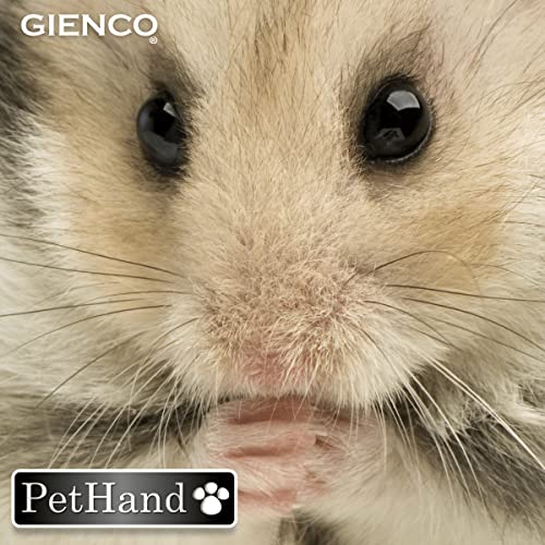 Ração Para Roedores Super Premium Pethand 500G, Fazenda Bioland, Alimento Pronto Para Coelhos, Hamst