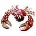 Ruilogod Metal Wiosna czerwone plastikowe Crab Magnetic Decor Naklejka na drzwi chłodziarki