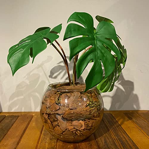 Arranjo Centro de Mesa Mini Costela de Adão Artificial Completo