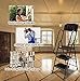 FOOWIN Step Ladder, 3 Step Folding Ladder with Handrails, Portable Steel Step Stool 330lbs Wide Pedal Ladder Non-Slip Step Ladders for Home Office Kitchen with Detachable Tool Bag (3 Step)