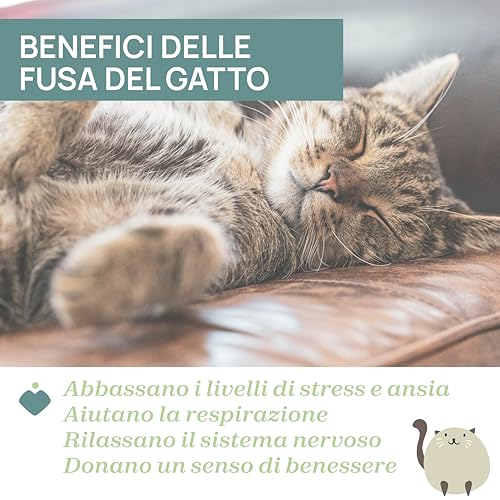 Chicco, Gatito Ronroneador, Peluche Electrónico Interactivo, Reproduce el Sonido y Las Vibraciones de los Ronroneos del Gato, Música Clásica, Tacto Suave, Lavable en Lavadora, Juguete Bebés +0 Meses - imagen 4