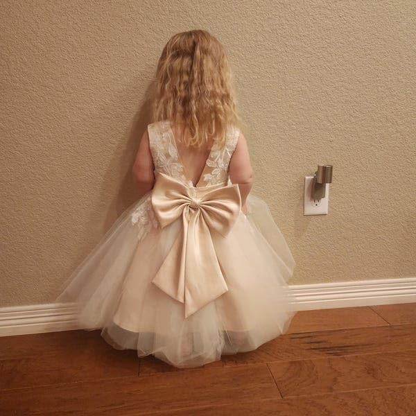 MCieloLuna Cute Lace Flower Girl Dress Puffy Tulle First Communion Dresses for Girls 2025 Toddlers Party Gown Tea Length3