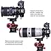 iShoot Lens Collar Tripod Mount Ring Compatible with Canon EF-E Sigma MC-11 Mount Converter Lens Adapter Ring, Lens Support Holder Bracket Bottom is Arca-Swiss Fit Quick Release Plate Dovetail Groove