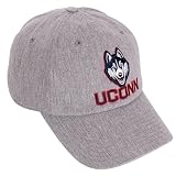 Desert Cactus UConn Embroidered Baseball Hat (F1) Grey