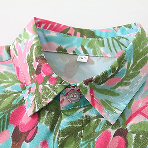 Boys Short Sleeved Everything Shirt Beach Coconut Print Casual Shirt Casual Outing Beach Side Top Boys Large4