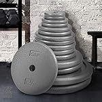 CAPHAUS Grey Standard Solid Cast Iron Weight Plates 1-inch Center Hole for Standard Barbell & Dumbbell Handles Size available in 1.25/2.5/5/7.5/10/12.5/25 & 50 LB Multiple Options - Image 4