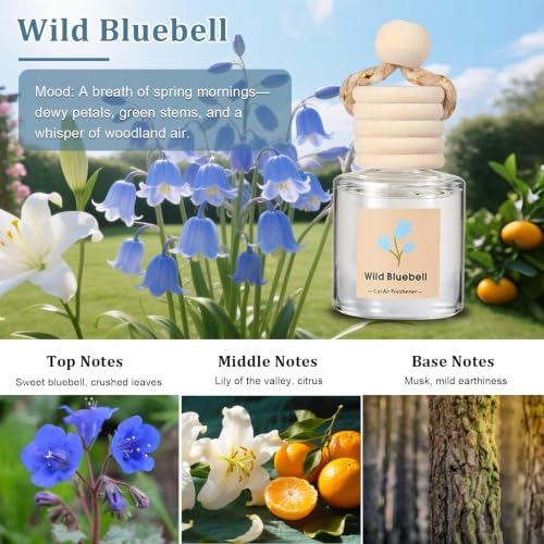 Image of Car Air Freshener,4 Pack