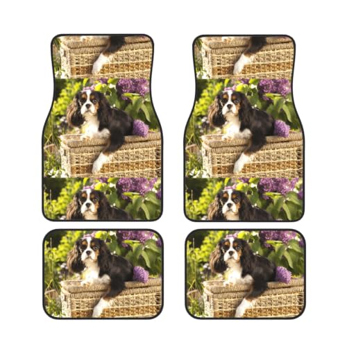 Alfombrillas Cavalier King Charles para coche juego de 4 piezas antideslizantes