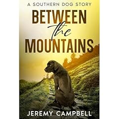 Between the Mountains Audiolibro Por Jeremy Campbell arte de portada