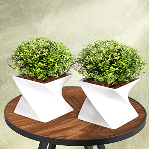2 Vasos Cachepot Suculenta Ervas Flor Decora Twist - Pp58