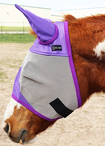 CHALLENGER Máscara voadora de cavalo equino verão primavera fluxo de ar malha 73294C