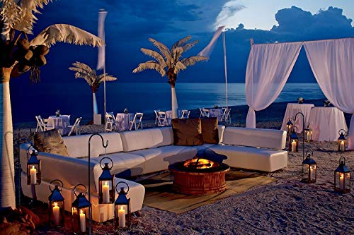 Ashman Shepherd's Hooks 35 Inch (8 Pack), Black, Made Of Premium Metal For Hanging Solar Lights, Bird Feeders, Mason Jars, Christmas Lights, Lanterns, Garden Stakes And Wedding Décor. #TOP4