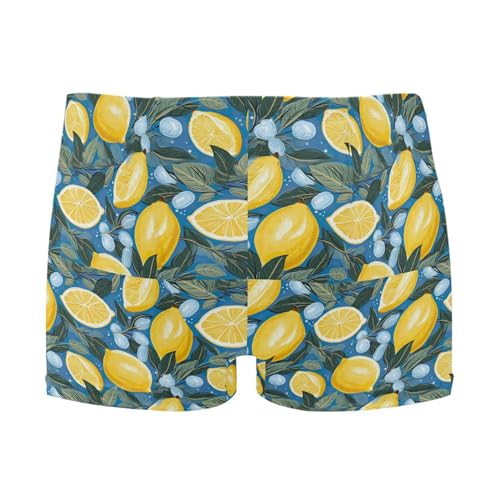 Lemon Mens Swim Trunk Swimwear Bathing Suit Swim Brief Square Leg Board Short S B0401801