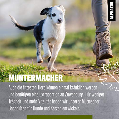 alphazoo Muntermacher Bachblüten für Hunde & Katzen 15 g I Globuli gegen Erschöpfung I Natürliches Beruhigungsmittel, Blütenmischung nach Dr. Bach