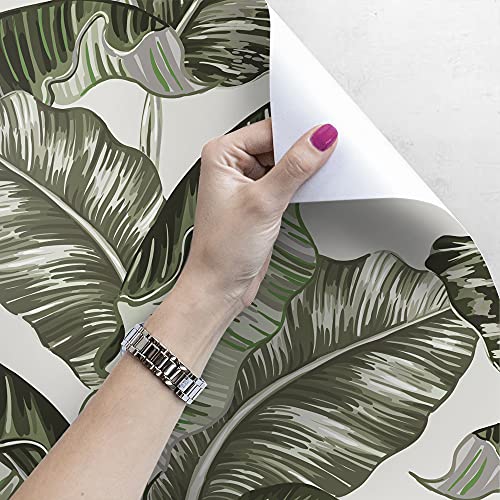 Papier peint lavable feuilles de banane 208x146 cm impression latex stable