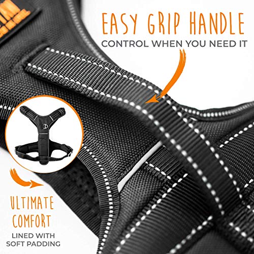Mighty Paw Sport Harness 2.0 - Padded Canine Accessory - Adjustable Neck and Chest Straps - Enhanced Visibility with Reflective Stitching - Dog Padded Harness with Handle - Large - Black