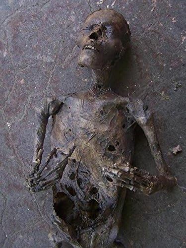BACK FROM THE GRAVE Mummy Skeleton Haunted House Halloween Horror Prop | Halloween Decorations