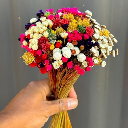 Buquê Rústico Mix de Flores Secas Sempre-Vivas, Arranjo Natural D...