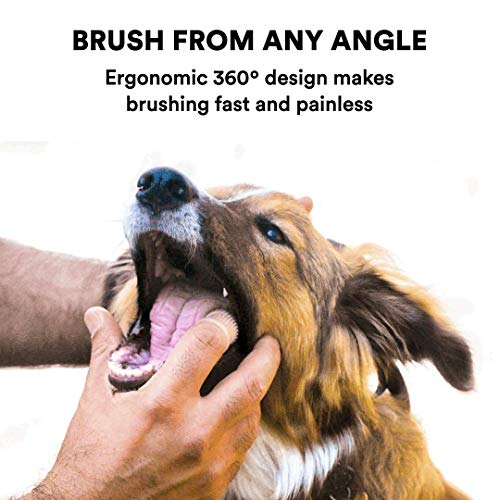 https://m.media-amazon.com/images/I/51AcgnpAxAL._SL500_.jpg