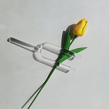 Amazon.co.jp: 20mm C/D/E/F/G/A/B ノート チャクラ クォーツ
