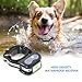 Plkm Wireless Dog Fence 2026 Newest Pet Electric Intelligent Containment System, Transmitter AI Smart Alarm Dog Out of Range Reminder, 360° Strong Signal Coverage, Display Receiver Battery Level