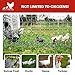RentACoop Poultry Netting Electric Fence - Electric Poultry Enclosure for Chickens, Ducks, Turkeys - Suitable for 4 Week Old Chickens/Older and Adult Poultry - Energizer Not Included - 168' L x 42
