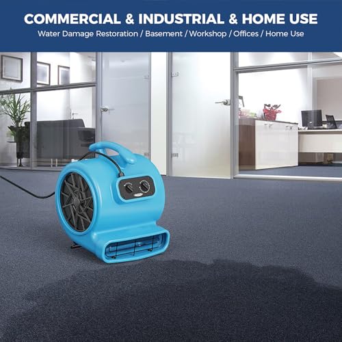 ALORAIR 2000 CFM Air Mover Blower Fan for Industrial, Floor Drying Fan, Carpet Dryer - Timer, Filter, Stackable, 3 Speeds, 5 Adjustable Angles, for Water Damage Restoration and Plumbing - GE2000TF