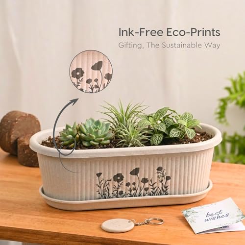Image of Eha Earth-Friendly Printed Regalia Planters for Home Decor | 12 Inch, Pack of 2 Without Growmix | Plant Gifts Made with Rice Husk Biocomposite | Flower Pot for Living Room| Sand Castle